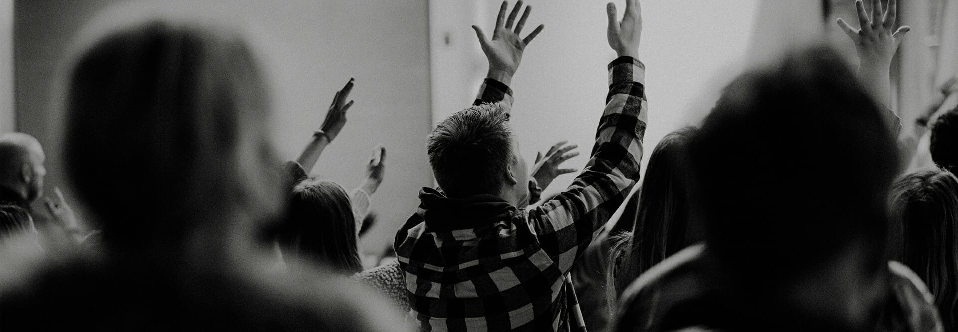 Decorative image for page header